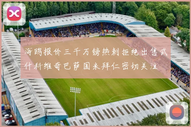 海鸥报价三千万镑热刺拒绝出售武什科维奇巴萨国米拜仁密切关注