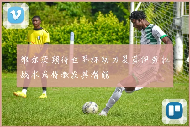 维尔茨期待世界杯助力复苏伊劳拉战术或将激发其潜能