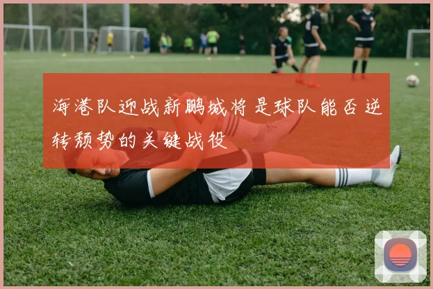 海港队迎战新鹏城将是球队能否逆转颓势的关键战役